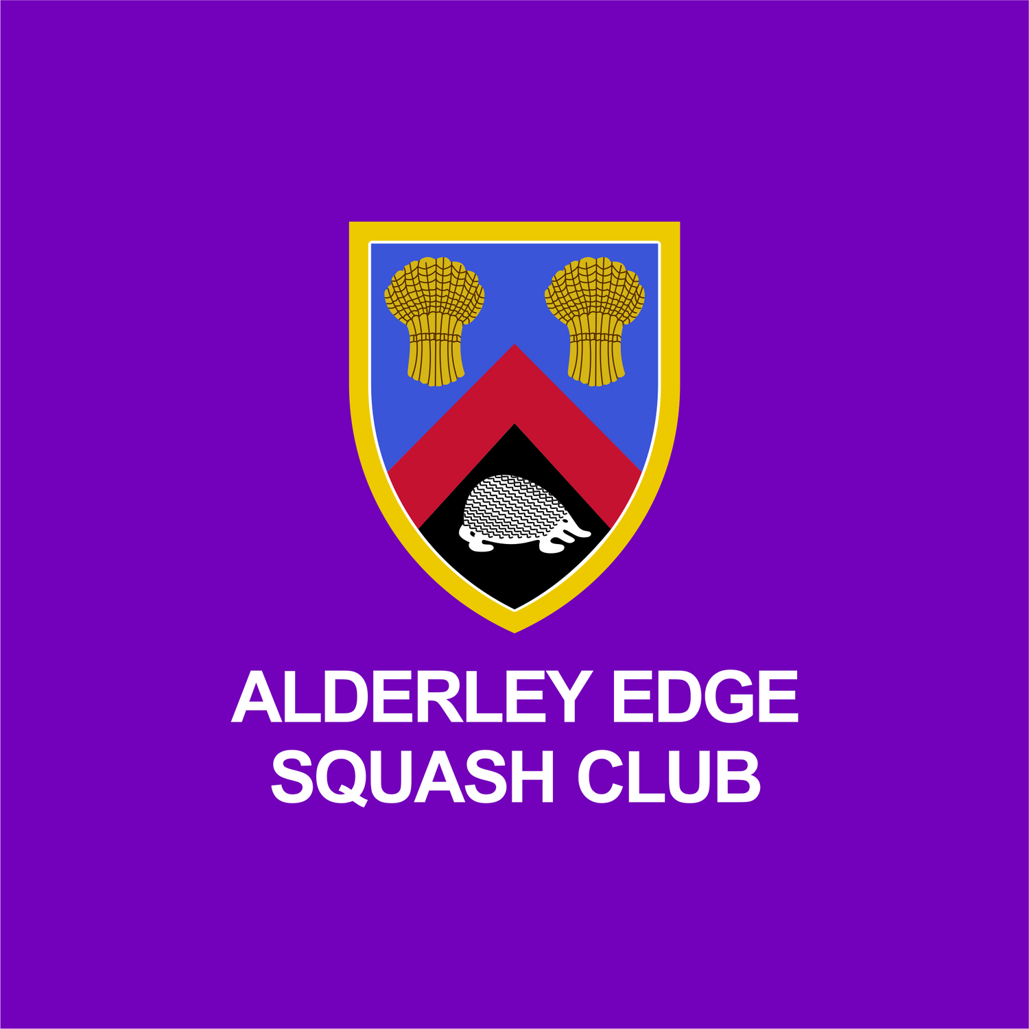 Alderley Edge SQUASH+ Sessions